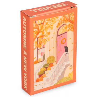 Mini puzzle - Automne à New York -  99 pièces