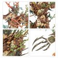 Age of Sigmar : Battleforce Sylvaneth - Outcast Spitegrove 3