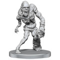 D&D Nolzur's Marvelous Miniatures: Rutterkin & Maw Demon 0