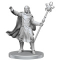 D&D Nolzur's Marvelous Miniatures: Drow Mage & Yochlol 1