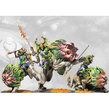 Boite de Conquest - Weaver Courts - Wyrd Knights