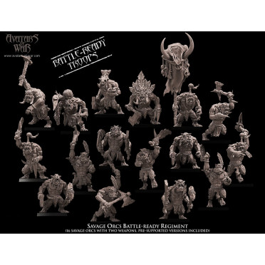 Boite de Avatars of war - 20 orques sauvages - Impression 3D