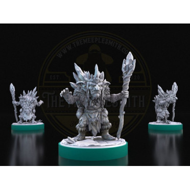 Boite de Ice Goblin Wizard