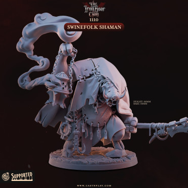 Boite de Cast n Play - Clan des Groins de Fer - Chaman