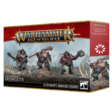 Boite de Age of Sigmar : Ogor Mawtribes - Ventres-durs