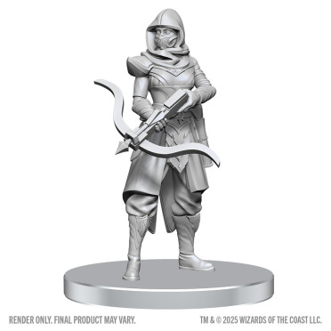 Boite de D&D Nolzur's Marvelous Miniatures: Assassin & Berserker