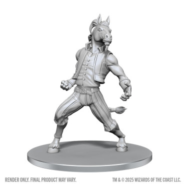 Boite de D&D Nolzur's Marvelous Miniatures: Equinal Guardinal