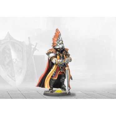 Boite de Conquest - Hundred Kingdoms - King Fredrik