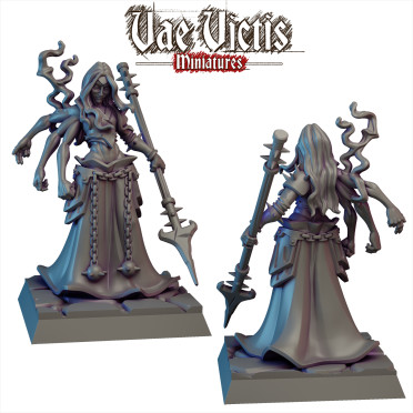 Boite de Vae Victis - Chaos - Matriarche Sombre