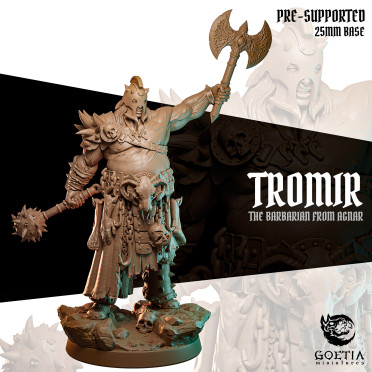 Boite de Goetia Miniatures - Shadows of Mol'ntar - Tromir