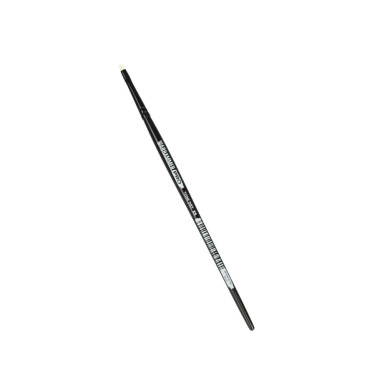 Boite de Warhammer Pro : Pinceau Tone - Dry XS