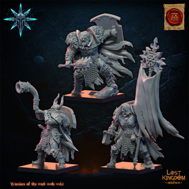Boite de Lost Kingdom miniatures - Guerriers du Chaos - 10 Guerriers du Chaos avec EMC