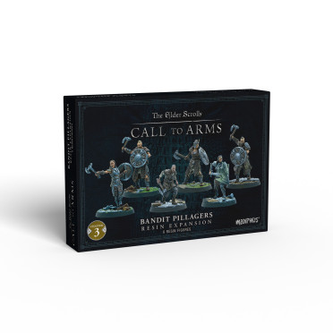 Boite de The Elder Scrolls: Call to Arms - Bandit Pillagers